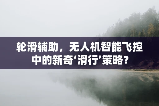 轮滑辅助，无人机智能飞控中的新奇‘滑行’策略？