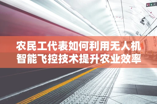 农民工代表如何利用无人机智能飞控技术提升农业效率？