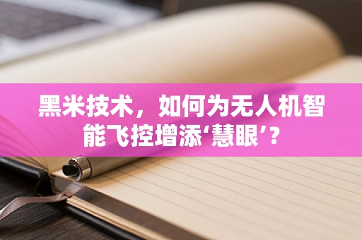 黑米技术，如何为无人机智能飞控增添‘慧眼’？