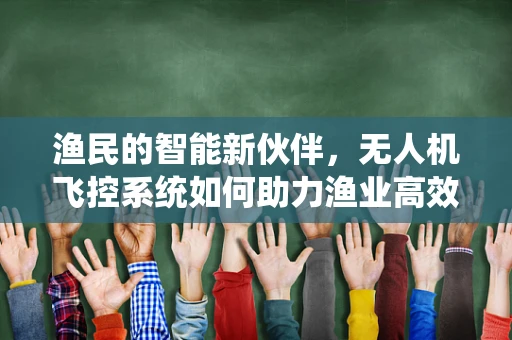 渔民的智能新伙伴，无人机飞控系统如何助力渔业高效作业？