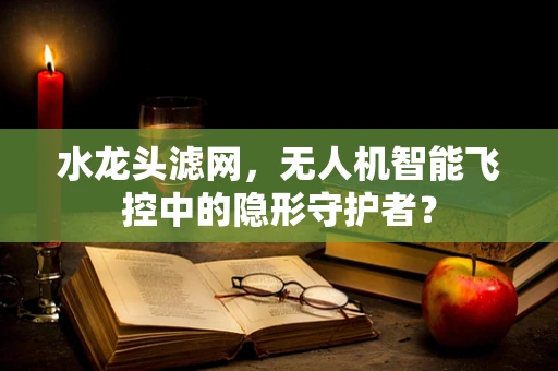 水龙头滤网，无人机智能飞控中的隐形守护者？