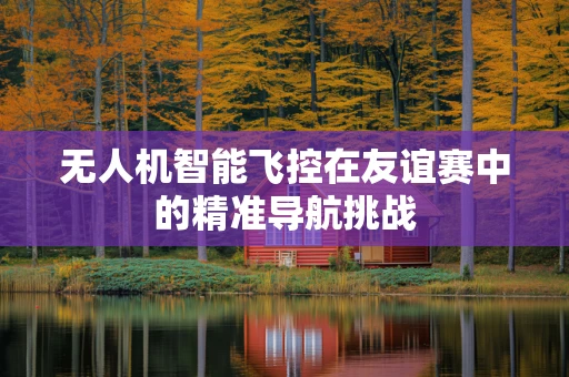 无人机智能飞控在友谊赛中的精准导航挑战