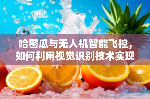 哈密瓜与无人机智能飞控，如何利用视觉识别技术实现精准避障？