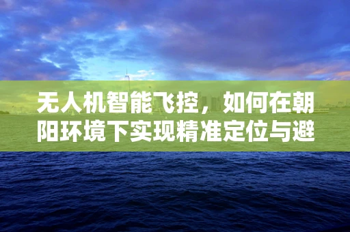 无人机智能飞控，如何在朝阳环境下实现精准定位与避障？