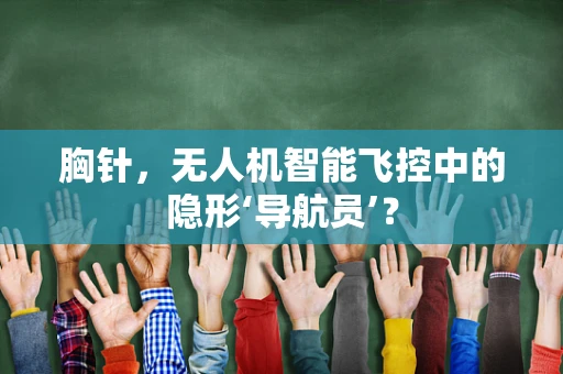 胸针，无人机智能飞控中的隐形‘导航员’？