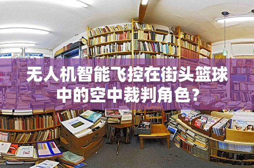 无人机智能飞控在街头篮球中的空中裁判角色？