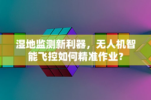 湿地监测新利器，无人机智能飞控如何精准作业？