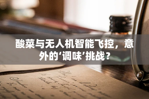 酸菜与无人机智能飞控，意外的‘调味’挑战？