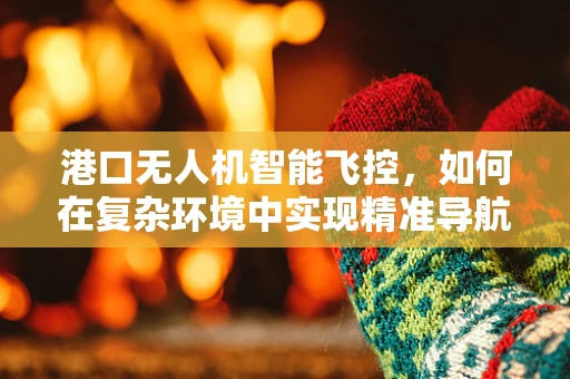 港口无人机智能飞控，如何在复杂环境中实现精准导航？