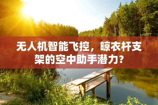 无人机智能飞控，晾衣杆支架的空中助手潜力？