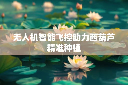 无人机智能飞控助力西葫芦精准种植