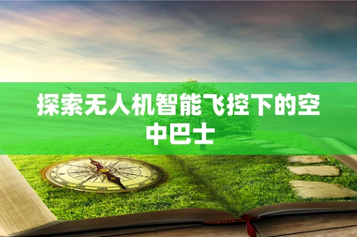 探索无人机智能飞控下的空中巴士